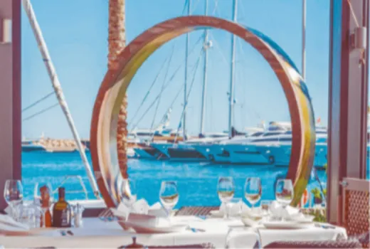 Descripción de la imagen